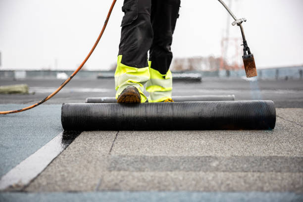 Best Roof Maintenance and Cleaning  in Harvard, NE
